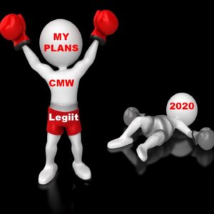 My Plans - 2020 (Spoiler... I win!)