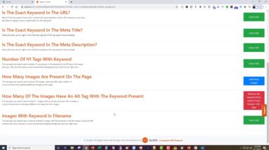 Audiit io Understanding The Different Tabs