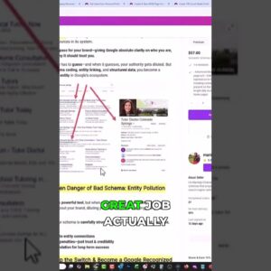 Schema Markup Explained: Connect Your Online Entities!